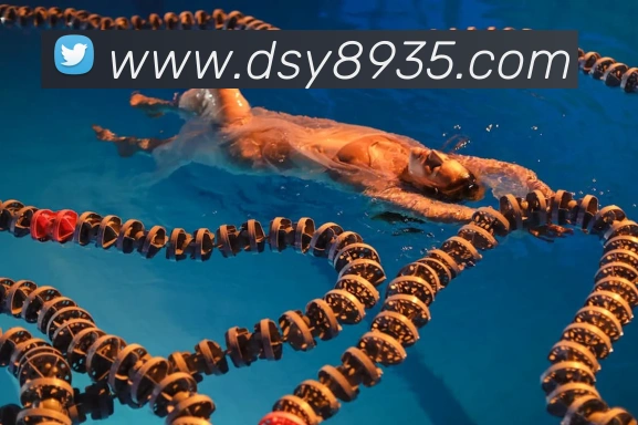 大三元官网平台登录品牌故事