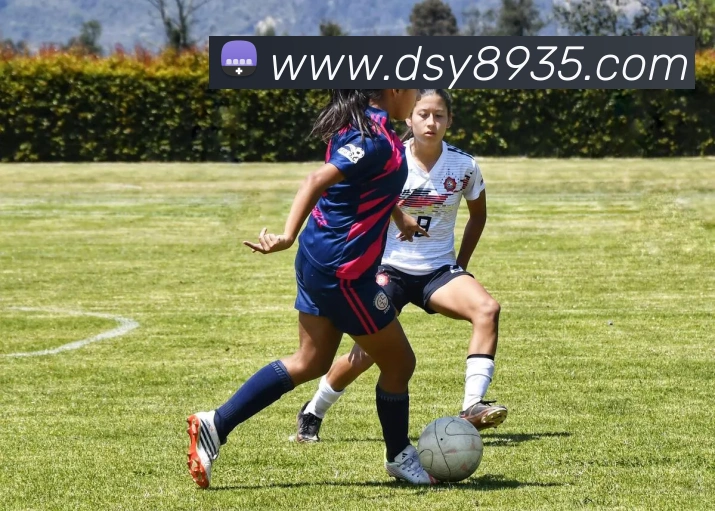 大三元官网平台登录服务体系