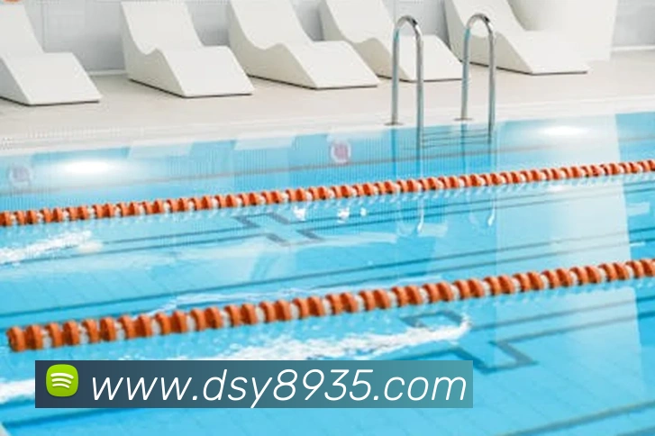 多媒体互动体验